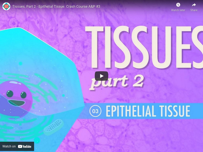 Crash Course A&p #3: Tissues, Part 2 Epithelial Tissue Instructional Video Crash Course A&p #3: Tissues, Part 2 Epithelial Tissue Instructional Video