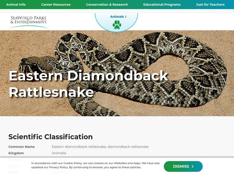 Sea World: Eastern Diamondback Rattlesnake Handout Sea World: Eastern Diamondback Rattlesnake Handout