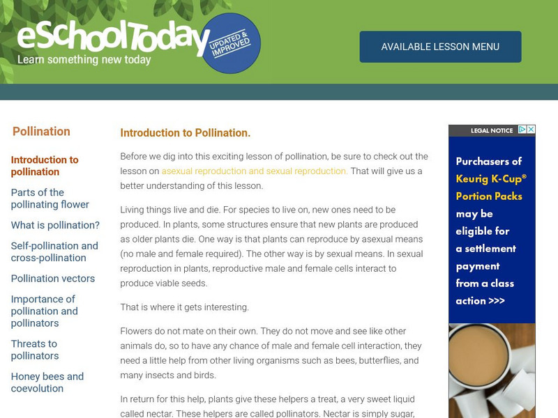 E School Today: Pollination Handout E School Today: Pollination Handout