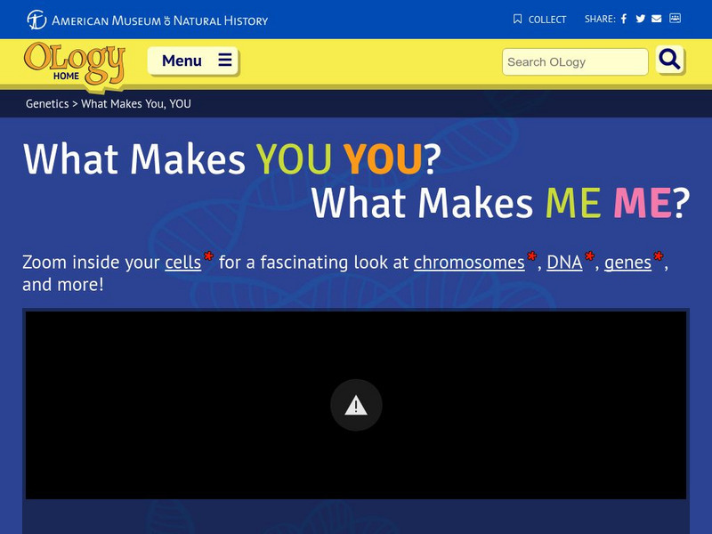 American Museum of Natural History: O Logy: What Makes You You? What Makes Me Me? Interactive American Museum of Natural History: O Logy: What Makes You You? What Makes Me Me? Interactive