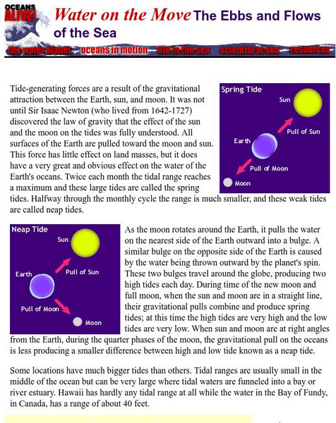 Museum of Science, Boston: Ebbs and Flows of the Sea Website Museum of Science, Boston: Ebbs and Flows of the Sea Website
