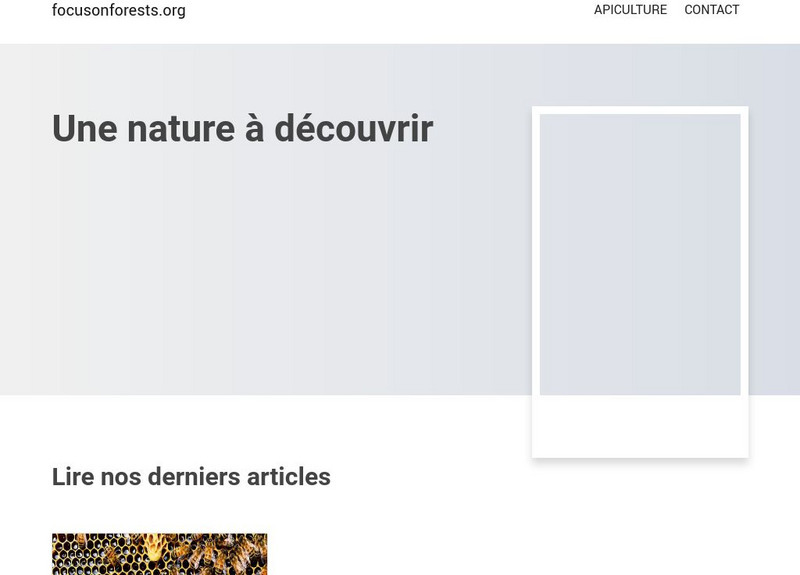 Focus on Forests Unit Plan Focus on Forests Unit Plan