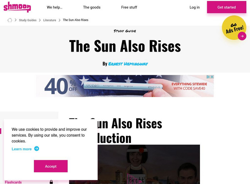 Shmoop: The Sun Also Rises Activity