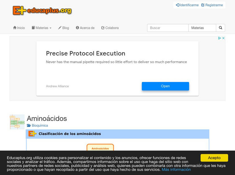 Educaplus: Clasificacion De Los Aminoacidos [In Spanish] Graphic