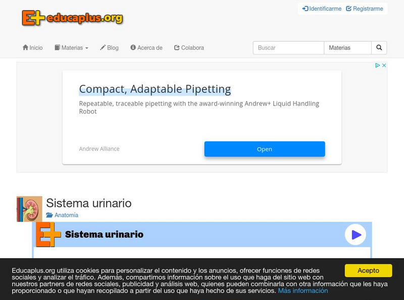 Educaplus: Sistema Urinario [In Spanish] Activity