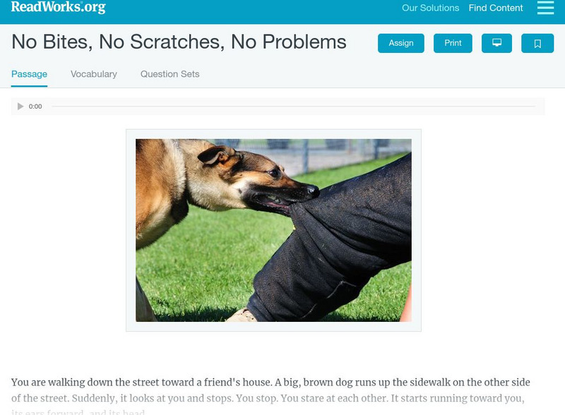 Read Works: No Bites, No Scratches, No Problems Activity Read Works: No Bites, No Scratches, No Problems Activity