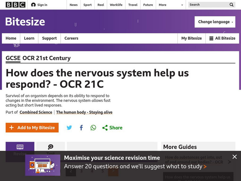 Bbc: Gcse Bitesize: How Does the Nervous System Help Us Respond? Ocr 21 C Unit Plan Bbc: Gcse Bitesize: How Does the Nervous System Help Us Respond? Ocr 21 C Unit Plan