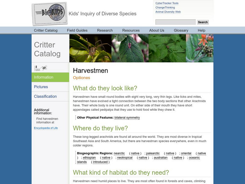 Bio Kids: Critter Catalog: Harvestmen Handout Bio Kids: Critter Catalog: Harvestmen Handout