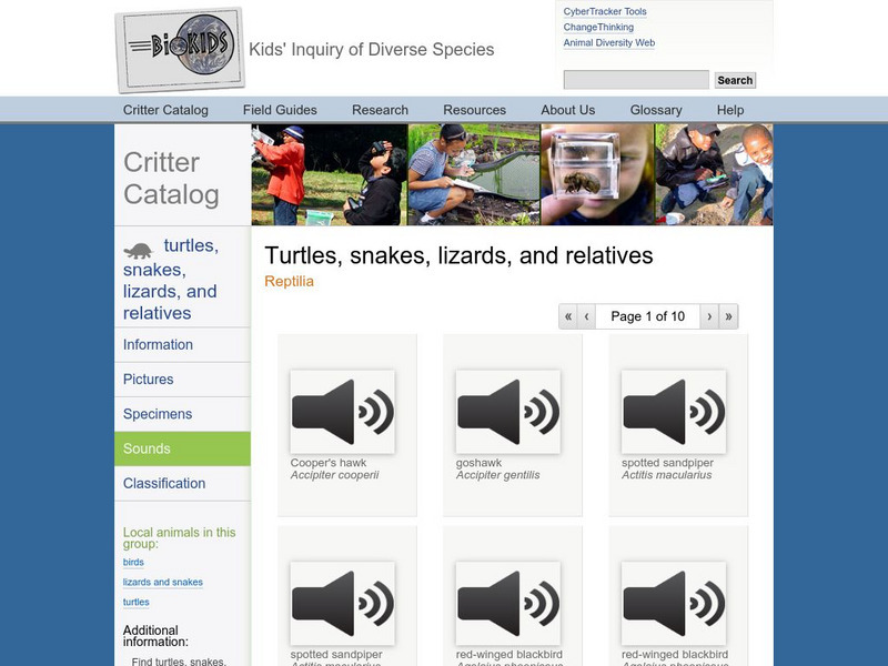 Bio Kids: Critter Catalog: Turtles, Snakes, Lizards, and Relatives Audio Bio Kids: Critter Catalog: Turtles, Snakes, Lizards, and Relatives Audio