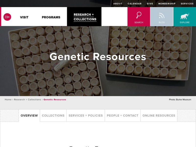 Burke Museum: Genetics Handout Burke Museum: Genetics Handout