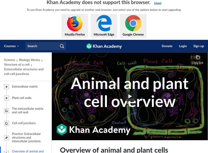 Khan Academy: Overview of Animal and Plant Cells Instructional Video