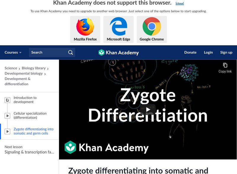 Khan Academy: Zygote Differentiating Into Somatic and Germ Cells Instructional Video Khan Academy: Zygote Differentiating Into Somatic and Germ Cells Instructional Video