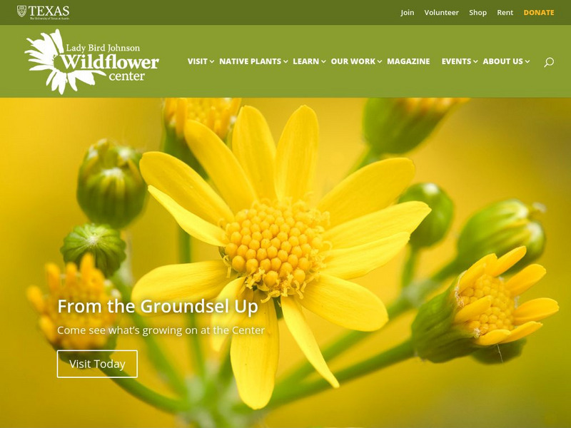 Lady Bird Johnson Wildflower Center Website Lady Bird Johnson Wildflower Center Website