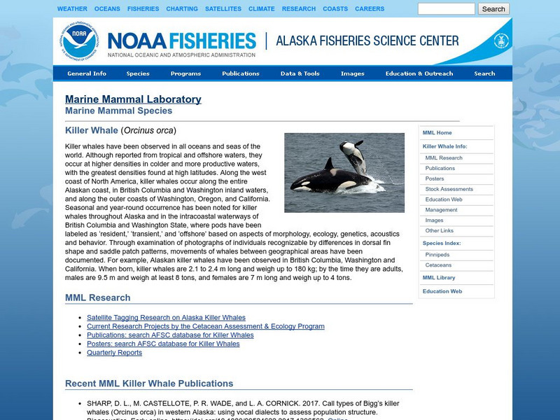 Noaa: Killer Whale Handout Noaa: Killer Whale Handout