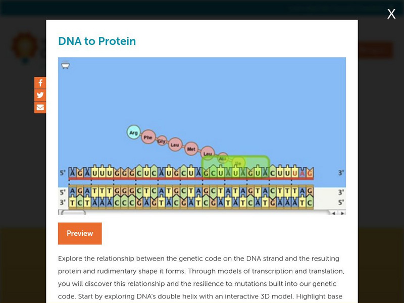 Concord Consortium: Stem Resources: Dna to Protein Activity Concord Consortium: Stem Resources: Dna to Protein Activity