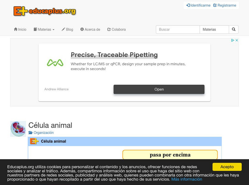 Educaplus: Celula Animal [In Spanish] Graphic