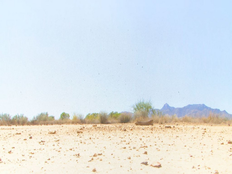 Theundocumented.com: The Map of the Undocumented Graphic Theundocumented.com: The Map of the Undocumented Graphic