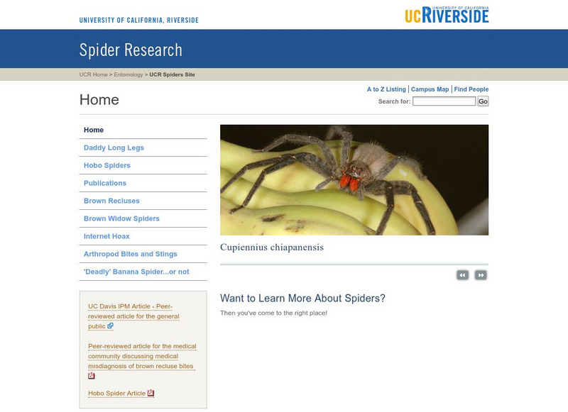 Univ Calif Riverside: Medically Important Arachnids Handout Univ Calif Riverside: Medically Important Arachnids Handout