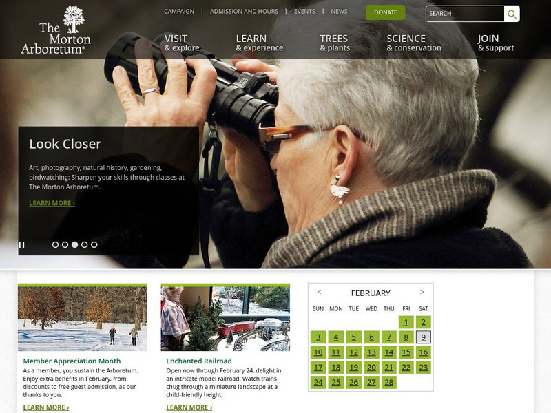 Morton Arboretum Website Morton Arboretum Website