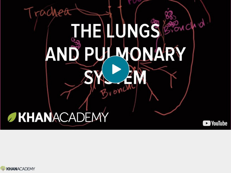 Khan Academy: Biology: The Lungs and Pulmonary System Instructional Video Khan Academy: Biology: The Lungs and Pulmonary System Instructional Video