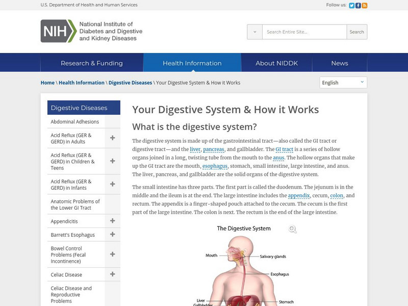 National Institutes of Health: Your Digestive System and How It Works Handout National Institutes of Health: Your Digestive System and How It Works Handout