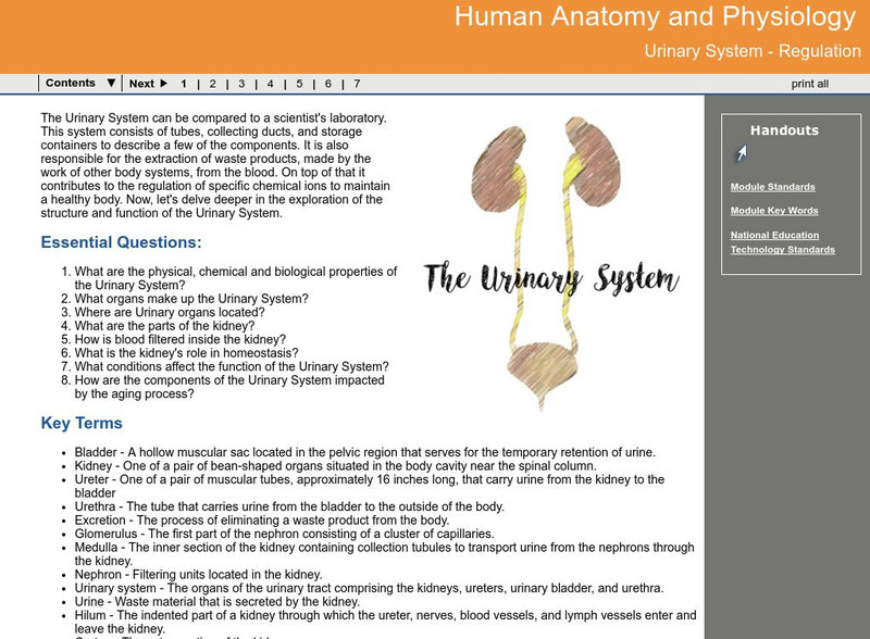 Ga Virtual Learning: Anatomy and Physiology: Urinary System Regulation Unit Plan Ga Virtual Learning: Anatomy and Physiology: Urinary System Regulation Unit Plan