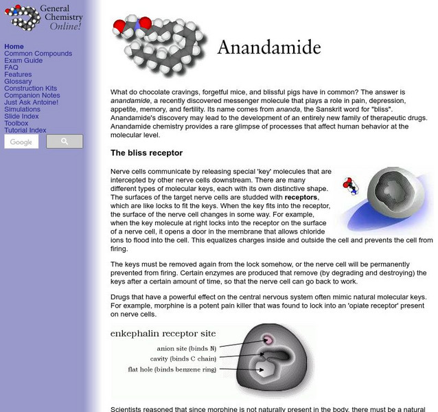 General Chemistry Online: Anandamide Handout