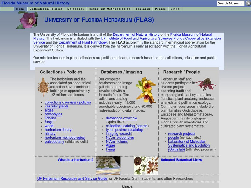 Fmnh: University of Florida Herbarium Website Fmnh: University of Florida Herbarium Website