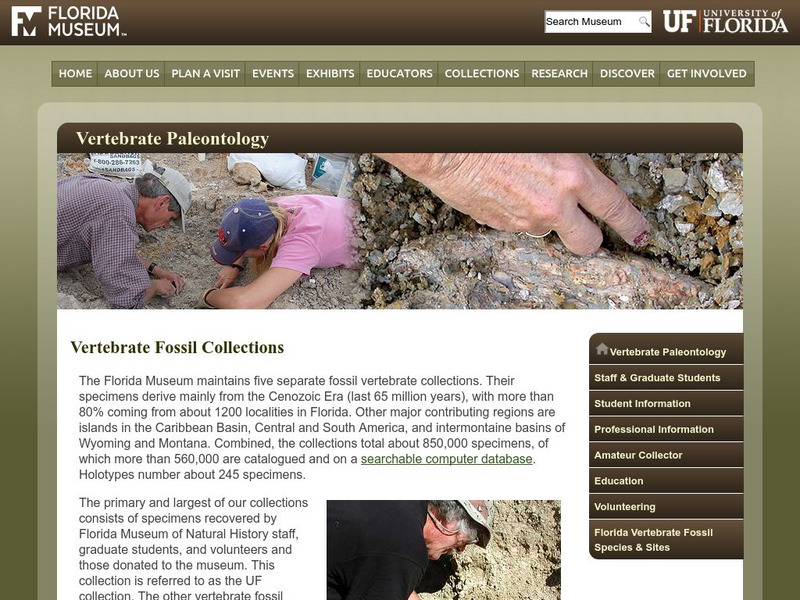 Fmnh: Vertebrate Paleontology Website