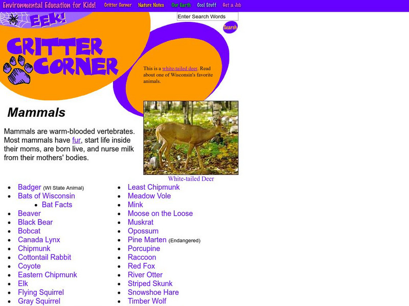 Eek!: Mammals Website