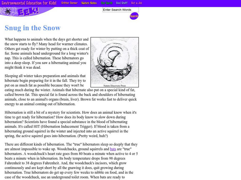 Eek!: Snug in the Snow Article Eek!: Snug in the Snow Article