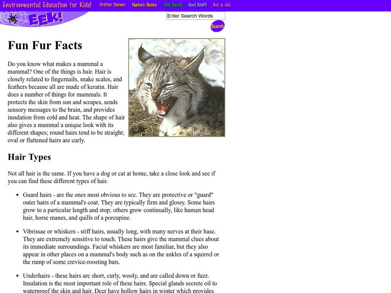Eek!: Fun Fur Facts Website Eek!: Fun Fur Facts Website