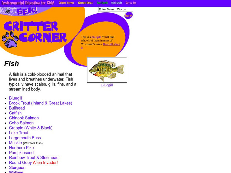 Eek!: Fish Website