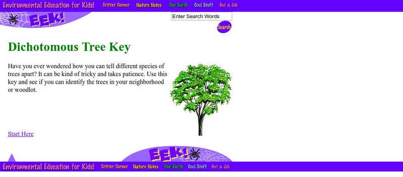 Eek!: Dichotomous Tree Key Interactive Eek!: Dichotomous Tree Key Interactive
