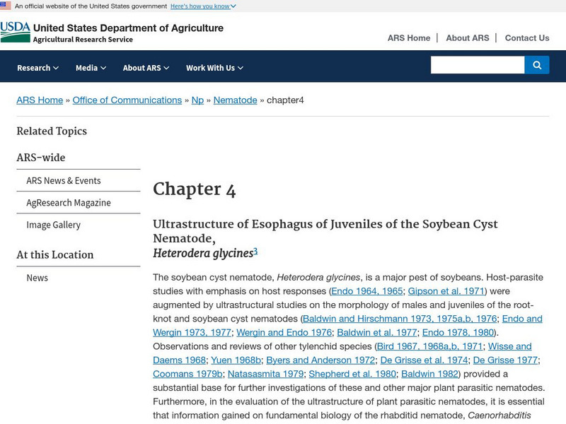 United States Department of Agriculture: Ultrastructure of Esophagus Handout United States Department of Agriculture: Ultrastructure of Esophagus Handout