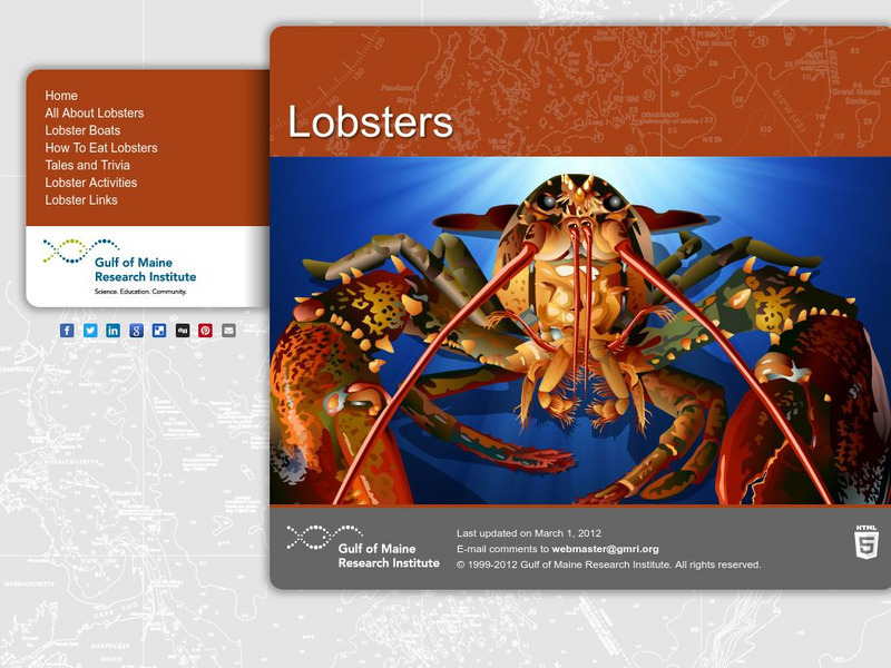 Gulf of Maine Research Institute: All About Lobsters Interactive Gulf of Maine Research Institute: All About Lobsters Interactive