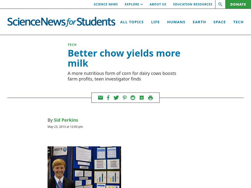 Science News for Students: Better Chow Yields More Milk Article Science News for Students: Better Chow Yields More Milk Article