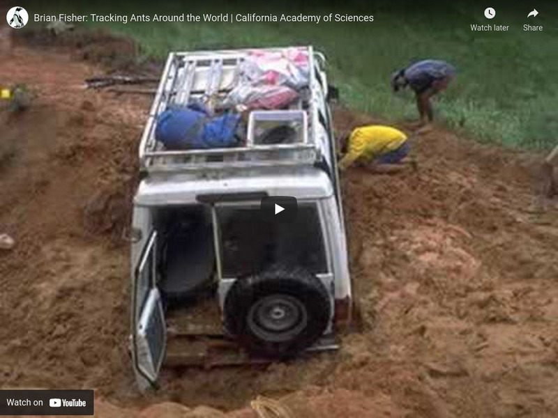 Ca Academy of Sciences: Science Heroes: Brian Fisher, Tracking Ants Instructional Video Ca Academy of Sciences: Science Heroes: Brian Fisher, Tracking Ants Instructional Video