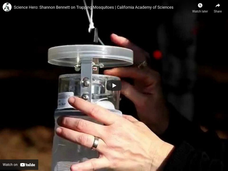 Ca Academy of Sciences: Science Heroes: Shannon Bennett, Trapping Mosquitos Instructional Video Ca Academy of Sciences: Science Heroes: Shannon Bennett, Trapping Mosquitos Instructional Video