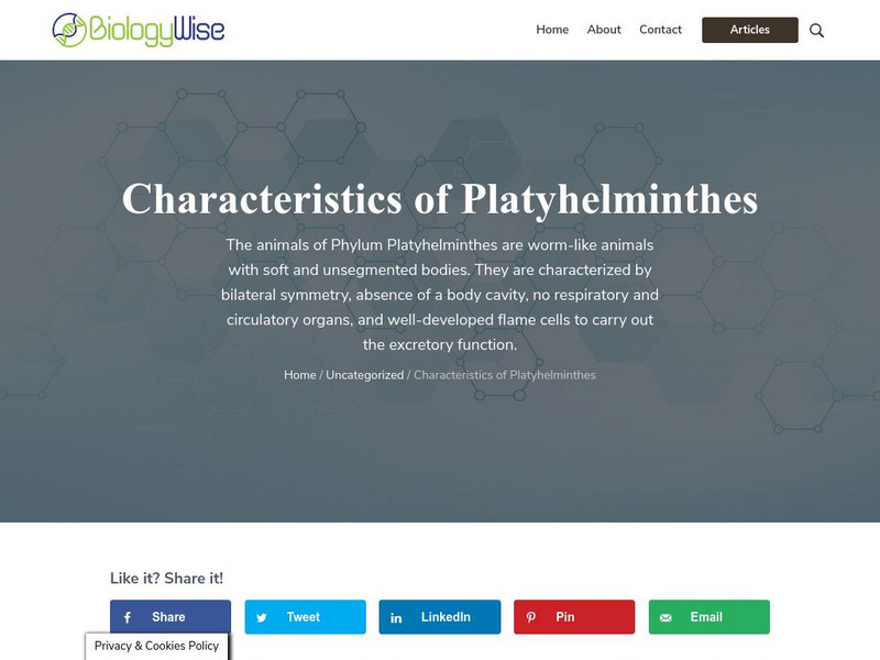 Biology Wise: Characteristics of Platyhelminthes Handout Biology Wise: Characteristics of Platyhelminthes Handout