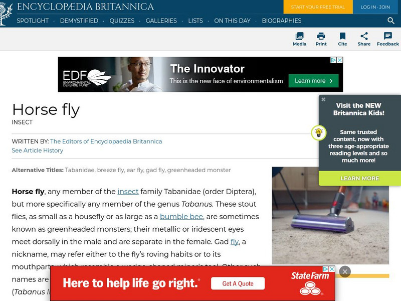 Encyclopedia Britannica: Horse Fly Handout Encyclopedia Britannica: Horse Fly Handout