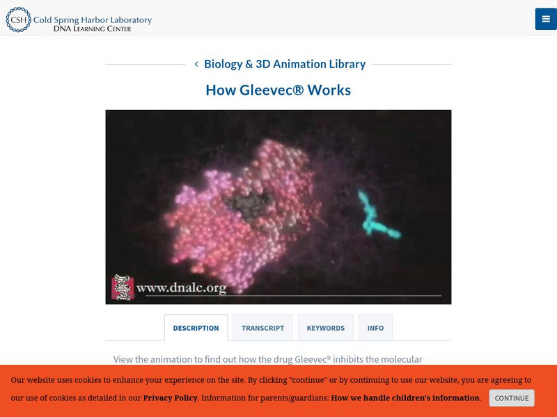Dna Learning Center: Disease & Mutation: How Gleevec Works Interactive Dna Learning Center: Disease & Mutation: How Gleevec Works Interactive