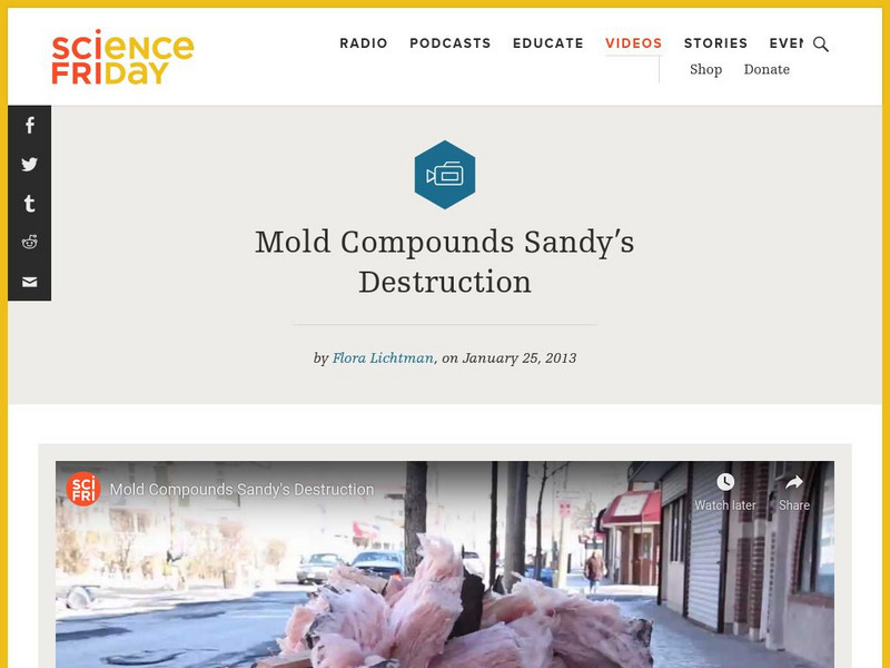 Science Friday: Mold Compounds Sandy's Destruction Instructional Video