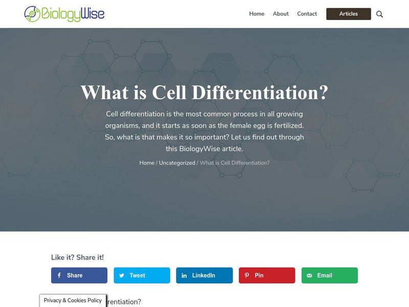 Biology Wise: What Is Cell Differentiation? Handout Biology Wise: What Is Cell Differentiation? Handout