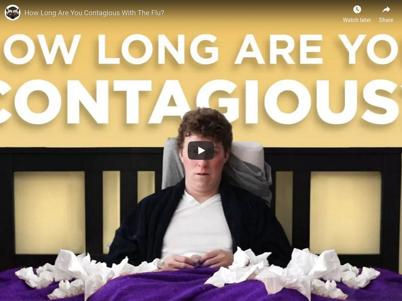 Npr Videos: Skunk Bear: How Long Are You Contagious With the Flu? Instructional Video Npr Videos: Skunk Bear: How Long Are You Contagious With the Flu? Instructional Video