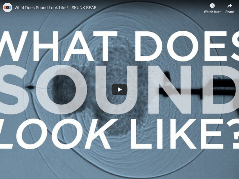 Npr Videos: Skunk Bear: What Does Sound Look Like? Instructional Video Npr Videos: Skunk Bear: What Does Sound Look Like? Instructional Video