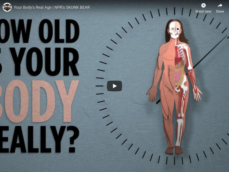 Npr Videos: Skunk Bear: Your Body's Real Age Instructional Video Npr Videos: Skunk Bear: Your Body's Real Age Instructional Video