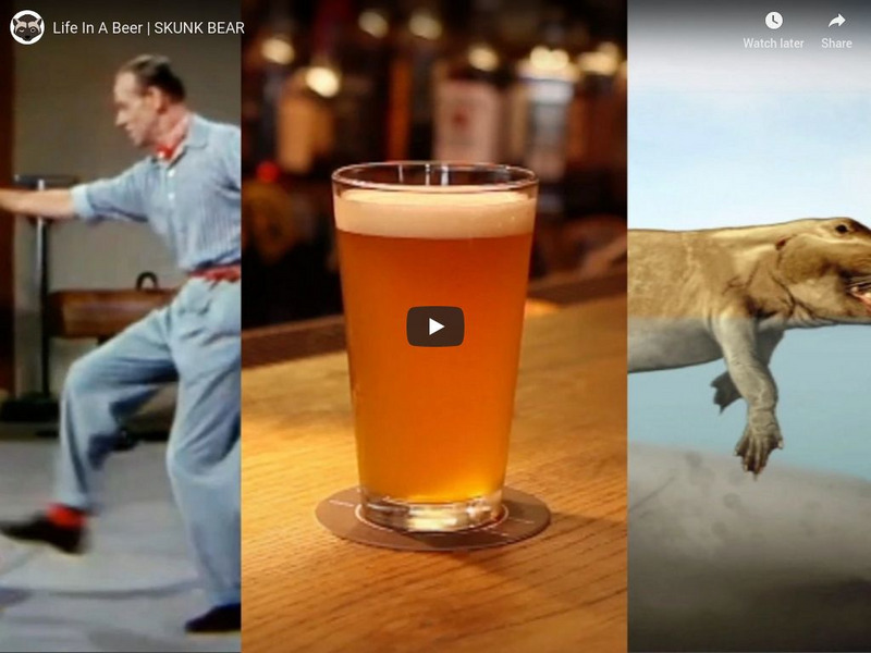 Npr Videos: Skunk Bear: Life in a Beer Instructional Video Npr Videos: Skunk Bear: Life in a Beer Instructional Video