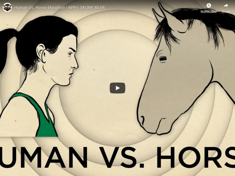 Npr Videos: Skunk Bear: Human vs. Horse Marathon Instructional Video Npr Videos: Skunk Bear: Human vs. Horse Marathon Instructional Video