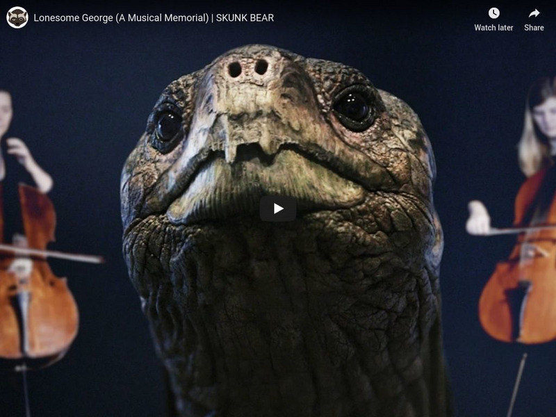 Npr Videos: Skunk Bear: Lonesome George (A Musical Memorial) Instructional Video Npr Videos: Skunk Bear: Lonesome George (A Musical Memorial) Instructional Video